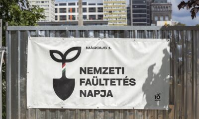 10 millió fa nemzeti faültetés napja